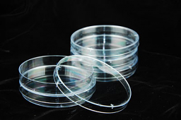 Petri Dishes with covers
